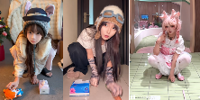 现在互联网上最火的猫，从“耄耋”变成了“萝卜纸巾猫”