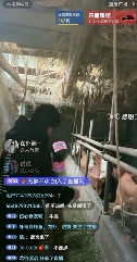 云南BIGBANG爆火后，土味男女团成了新的流量密码
