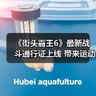 《街头霸王6》最新战斗通行证上线 带来运动主题服饰道具(图4) 《街头霸王6》最新战斗通行证上线 带来运动主题服饰道具(图4)