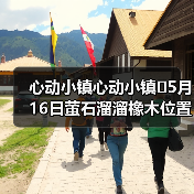 心动小镇心动小镇⭐5月16日萤石溜溜橡木位置攻略（图1）