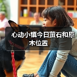 心动小镇今日萤石和原木位置（图2）
