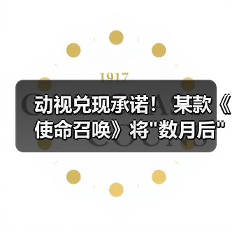 动视兑现承诺！ 某款《使命召唤》将