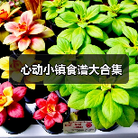 心动小镇食谱大合集（图2）