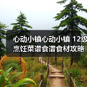 心动小镇心动小镇 12级烹饪菜谱食谱食材攻略（图2）