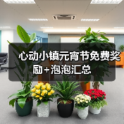 心动小镇元宵节免费奖励+泡泡汇总（图4）