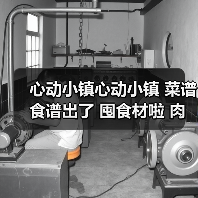 心动小镇心动小镇 菜谱食谱出了 囤食材啦 肉有救啦（图1）