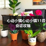 心动小镇心动小镇11级食谱攻略（图3）