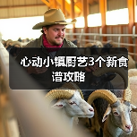 心动小镇厨艺3个新食谱攻略(图1) 心动小镇厨艺3个新食谱攻略(图1)