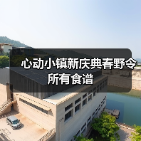 心动小镇新庆典春野令-所有食谱（图3）