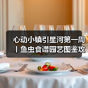 心动小镇引星河第一周丨鱼虫食谱园艺图鉴攻略合集（图1）