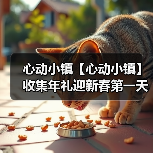 心动小镇【心动小镇】收集年礼迎新春第一天任务攻略（图3）