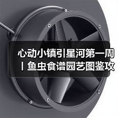 心动小镇引星河第一周丨鱼虫食谱园艺图鉴攻略合集（图4）