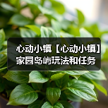 心动小镇【心动小镇】家园岛屿玩法和任务（图3）