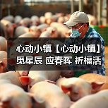 心动小镇【心动小镇】觅星辰 应春晖 祈福活动 攻略（图2）