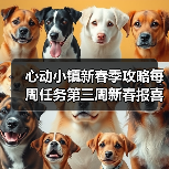 心动小镇新春季攻略每周任务第三周新春报喜鸟音乐会（图2）