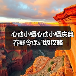 心动小镇心动小镇庆典春野令保姆级攻略（图4）
