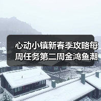 心动小镇新春季攻略每周任务第二周金鸿鱼潮舶来种子（图4）