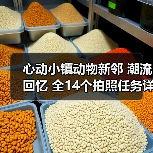 心动小镇动物新邻 潮流回忆 全14个拍照任务详细攻略（图4）