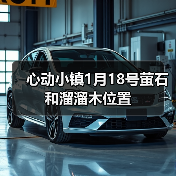 心动小镇1月18号萤石和溜溜木位置（图1）