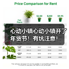 心动小镇心动小镇开了年货节！有坑注意！（图4）