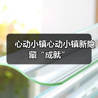 心动小镇心动小镇新隐藏“成就”（图2）