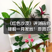 《红色沙漠》评测码将提前一月发放!原因竟是地图太大(图4) 《红色沙漠》评测码将提前一月发放!原因竟是地图太大(图4)