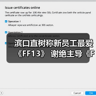 滨口直树称新员工最爱《FF13》 谢绝主导《FF6RE》！（图1）
