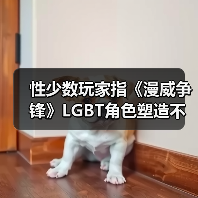 性少数玩家指《漫威争锋》LGBT角色塑造不足 官方回应（图4）