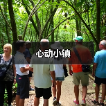 心动小镇（图1）
