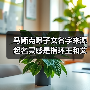 马斯克曝子女名字来源 起名灵感是指环王和艾尔登法环（图2）