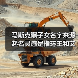 马斯克曝子女名字来源 起名灵感是指环王和艾尔登法环（图4）