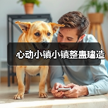 心动小镇小镇整蛊建造（图2）