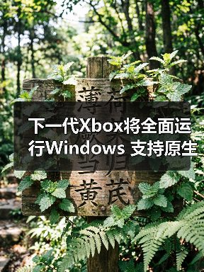 下一代Xbox将全面运行Windows 支持原生运行三代主机游戏（图2）