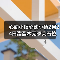 心动小镇心动小镇2月24日溜溜木无暇荧石位置（图4）