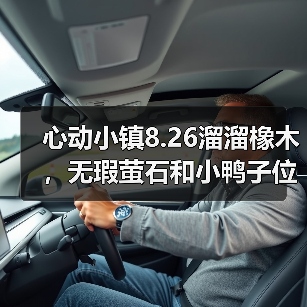 心动小镇8.26溜溜橡木，无瑕萤石和小鸭子位置（图1）
