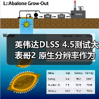 英伟达DLSS 4.5测试大表哥2 原生分辨率作为画质基准（图3）