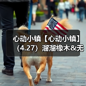 心动小镇【心动小镇】（4.27）溜溜橡木&无暇萤石（图2）