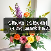 心动小镇【心动小镇】（4.29）溜溜橡木&无暇萤石（图3）
