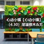 心动小镇【心动小镇】（4.30）溜溜橡木&无暇萤石（图3）