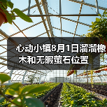心动小镇8月1日溜溜橡木和无暇萤石位置（图2）