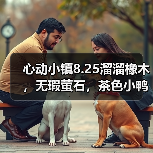 心动小镇8.25溜溜橡木，无瑕萤石，茶色小鸭子位置（图1）