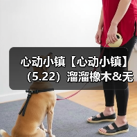心动小镇【心动小镇】（5.22）溜溜橡木&无暇萤石（图3）