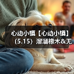 心动小镇【心动小镇】（5.15）溜溜橡木&无暇萤石（图2）