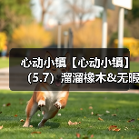 心动小镇【心动小镇】（5.7）溜溜橡木&无暇萤石（图2）
