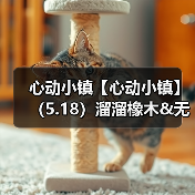 心动小镇【心动小镇】（5.18）溜溜橡木&无暇萤石（图3）