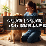 心动小镇【心动小镇】（5.4）溜溜橡木&无暇萤石（图4）