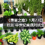《覆巢之地》1月23日抢测 中世纪疾病对抗生存冒险（图3）