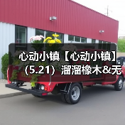 心动小镇【心动小镇】（5.21）溜溜橡木&无暇萤石（图2）
