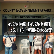 心动小镇【心动小镇】（5.11）溜溜橡木&无暇萤石（图3）
