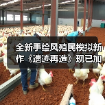 全新手绘风殖民模拟新作《遗迹再造》现已加入Hooded Horse发行（图1）